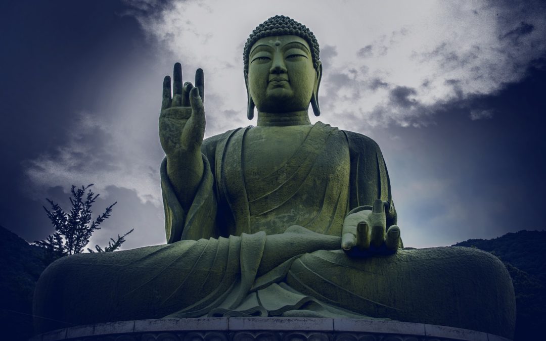 Buddhism in Business Part 2 – Life Is One Big Distraction
