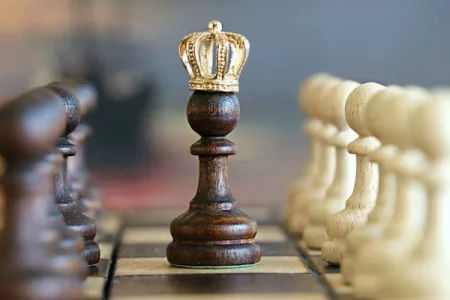 Chess - Case styidy image